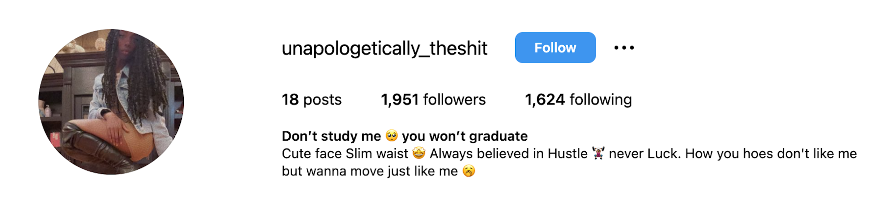 Instagram bio example