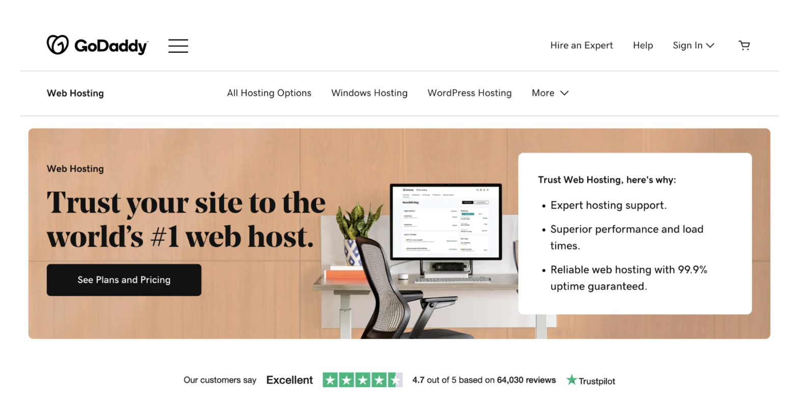 GoDaddy web host